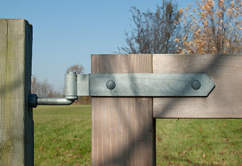 Double Straps with Central Eye (3” Gap)